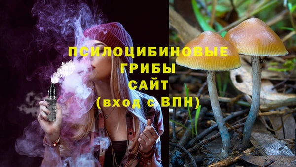 амфетамин Алексин