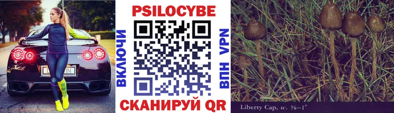 Псилоцибиновые грибы Psilocybine cubensis  Качканар 
